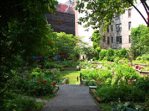 ny_westside_community_garden_89th_and_amsterdam_07_695.jpg